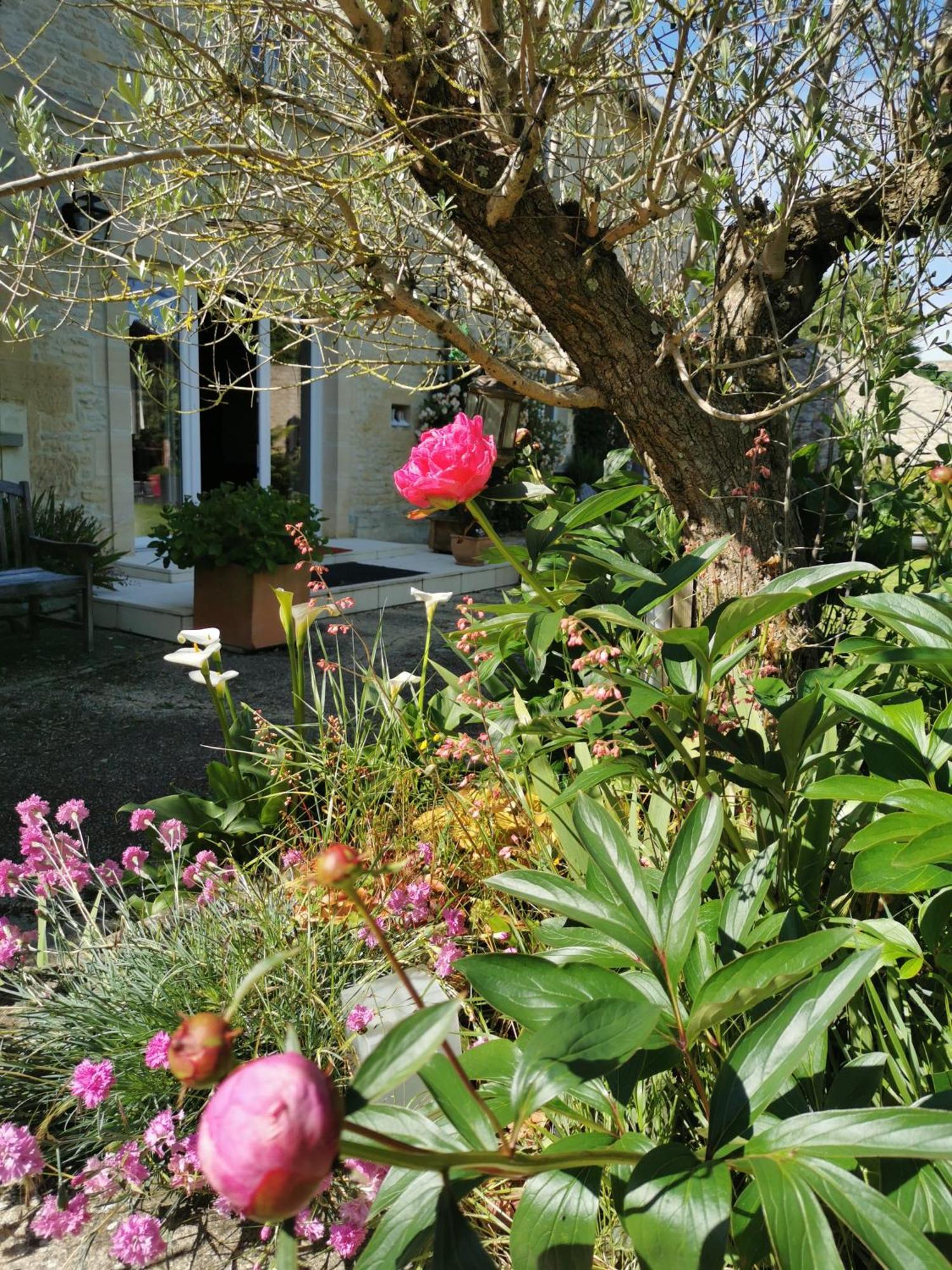 Chambre De L'Iris Sainte-Croix-sur-Mer Exterior photo